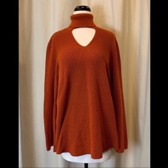 Chico's 3 sz 1X sz 14-16 Beautiful Rust colored Spicy Orange Sweater - Picture 1 of 7